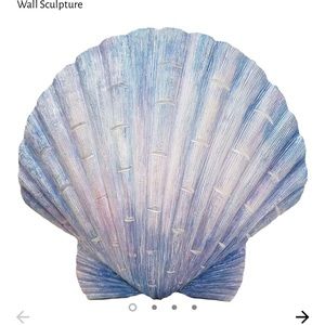 World of wonders wall hanging seashell